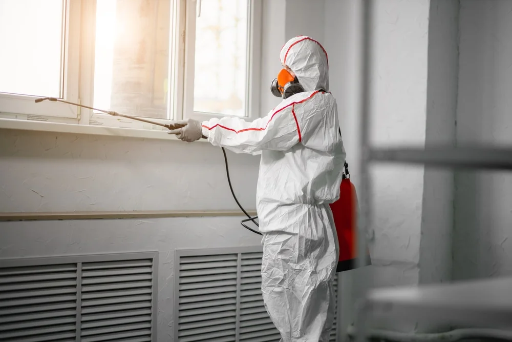 Professional mold remediation services in Maywood, NJ